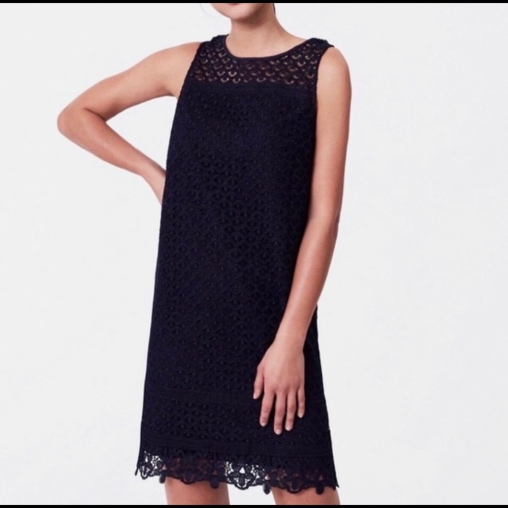 EUC LOFT Navy Fan Lace Shift Dress Size 8